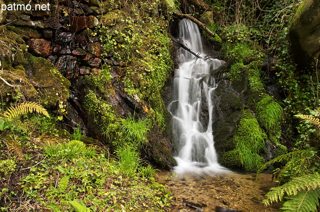 Image d'une petite cascade dans un ruisseau de printemps dans le Parc National des Cvennes