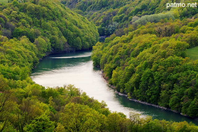 Photo de la valle du Rhne  travers la fort de printemps prs d'Arcine en Haute Savoie