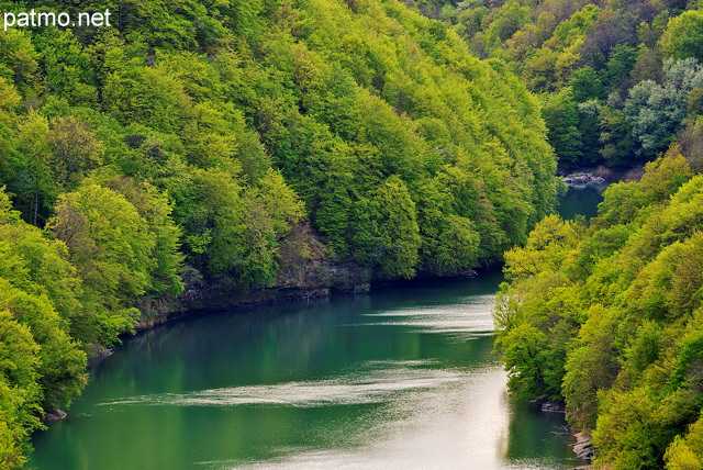 Photographie du Rhne traversant les forts autour du Rhne en Haute Savoie