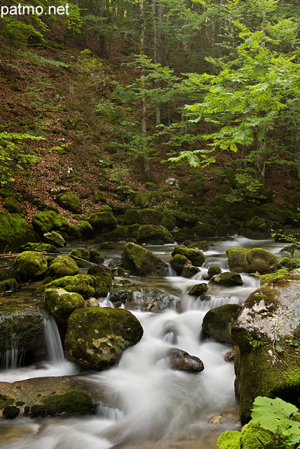 Image de petites chutes d'eau dans la rivire de la Valserine