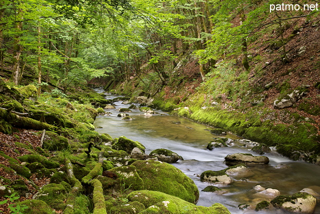 Photo de la vallée de la Valserine au coeur des forêts du Haut Jura dans le département de l'Ain
