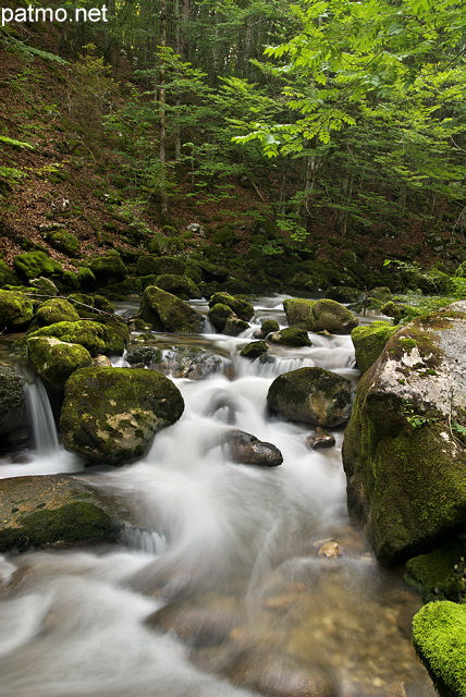 Photographie de la rivière de la Valserine cascadant en sous bois dans le PNR du Haut Jura