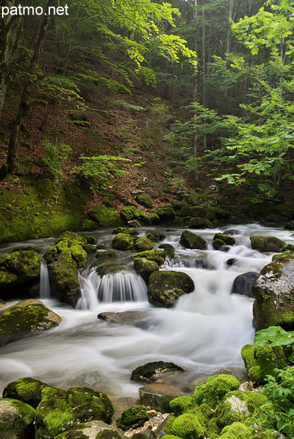 Photo de petites cascades de printemps dans la rivire de la Valserine