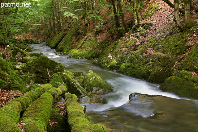 Image des berges de la Valserine dans le Parc Naturel Rgional du Haut Jura