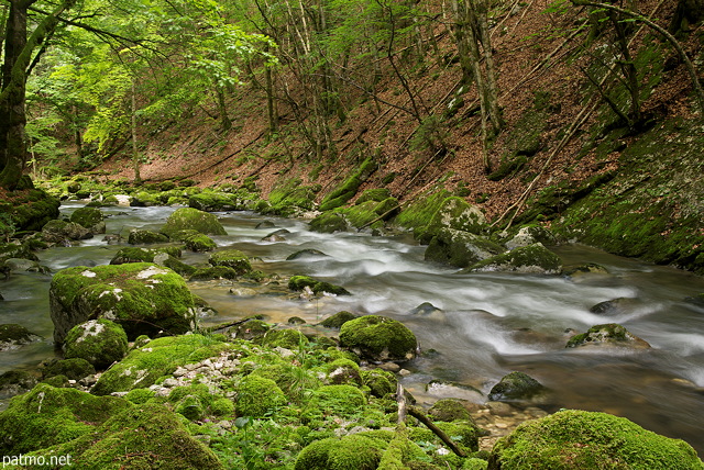 Photographie de la rivière de la Valserine dans la forêt de montagne du Haut Jura