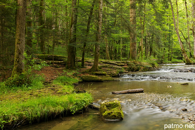 Image du torrent du Hrisson  travers la fort du Jura