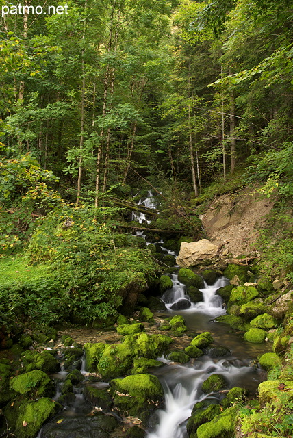 Image d'un torrent de montagne dans la fort de Septmoncel - Jura