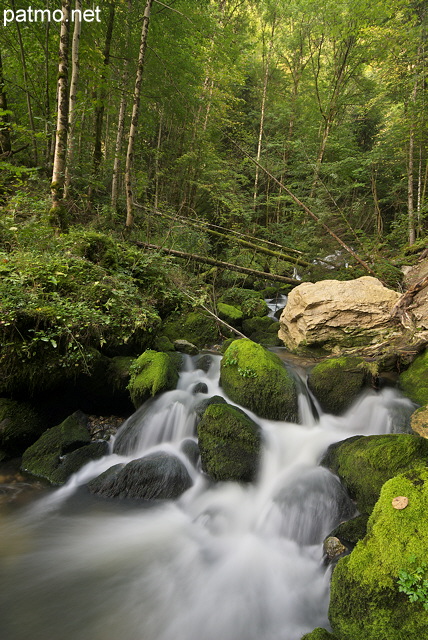 Picture with little stream and cascades in Jura forest near Septmoncel