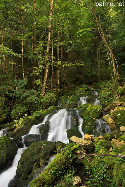 Photographie de cascades en sous bois dans la fort du Jura prs de Septmoncel