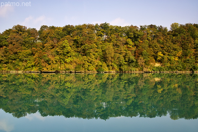 Photo of the autumn forest on the banks of Rhone river