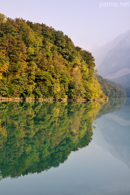 Photographie de la fort d'automne se refltant dans le Rhne