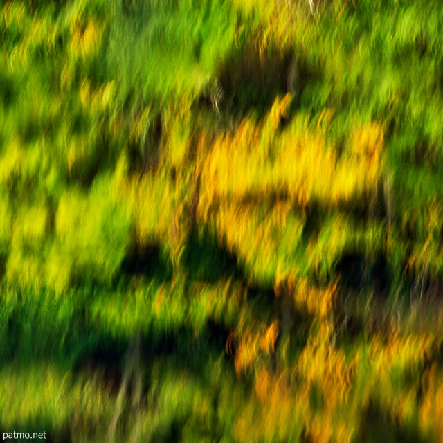 Photo abstraite de reflets d'automne dans l'eau du Rhne