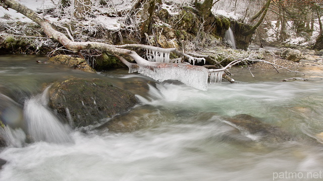 Photo de stalactites de glace dans un torrent du Parc Naturel Rgional du Massif des Bauges