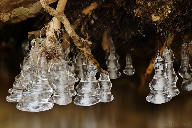 Photo de stalactites de glace en forme de clochettes dans la rivière de la Valserine