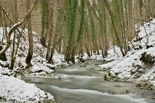 Photo de la rivire du Fornant entoure par la neige pendant l'hiver 2012