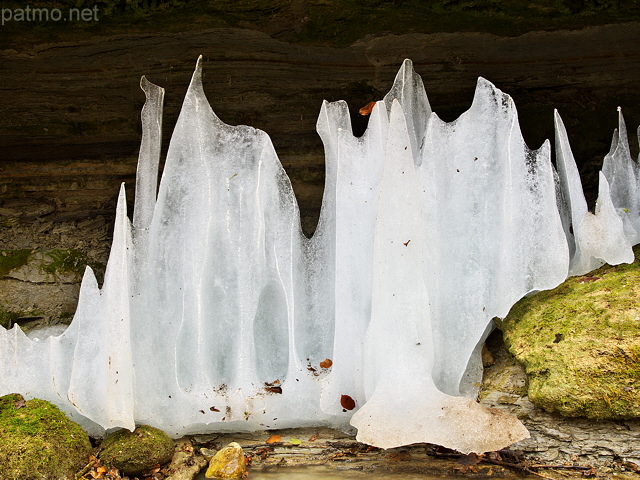 Photo de rideaux de glace sur les rives du Fornant