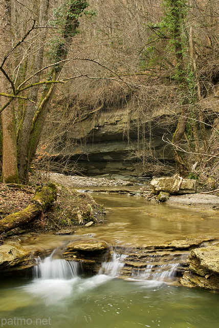 Photographie des bords du Fornant en fin d'hiver