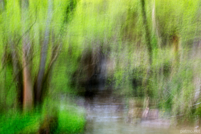 Image d'un paysage abstrait des sous bois le long de la rivire du Fornant