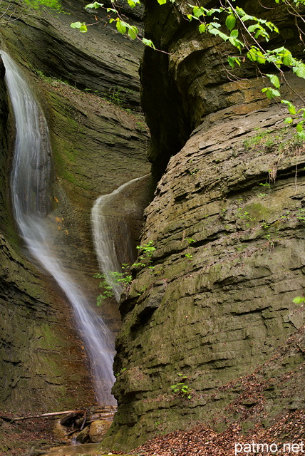 Photographie du canyon du Castran et de ses falaises de molasse