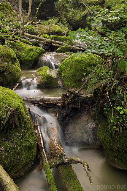 Photo de petites cascades de printemps sur le torrent du Castran