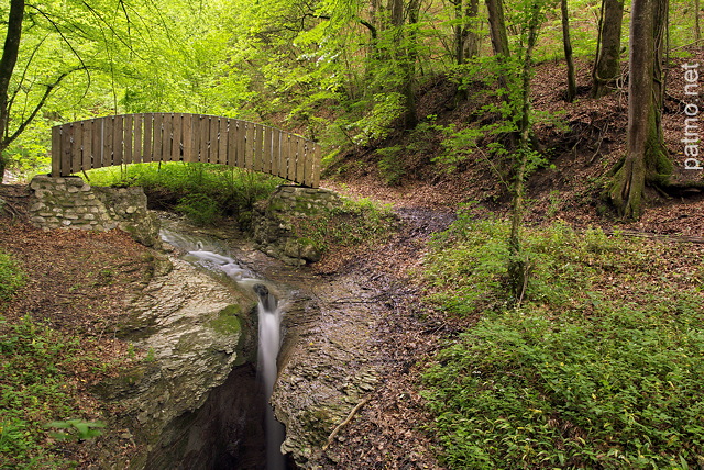 Photographie du dbut de la Tine de Parnant au printemps