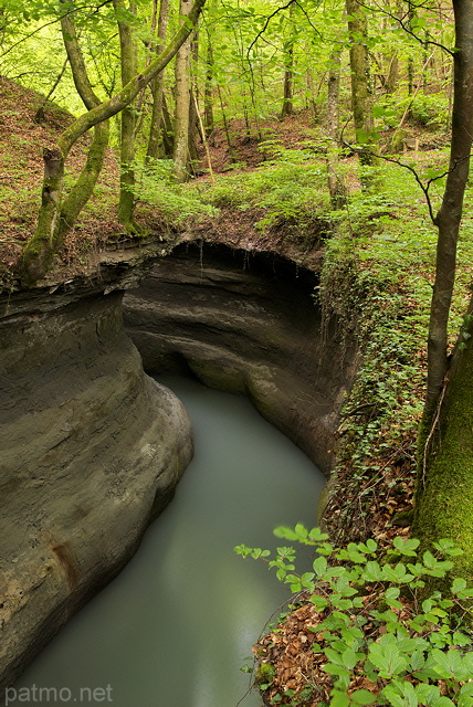 Image de la Tine de Parnant creuse dans la molasse