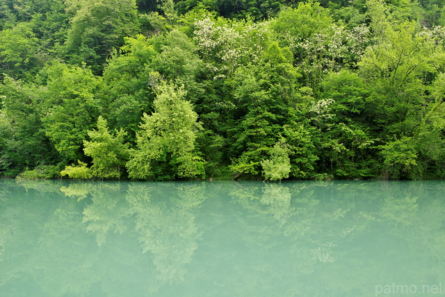 Photo de reflets de printemps dans le Rhne