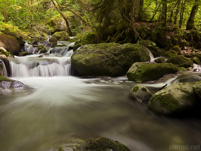 Photograph of the gorges of river Bronze by a springtime day