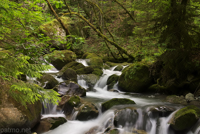 Image d'une succession de petites cascades de printemps dans les Gorges du Bronze