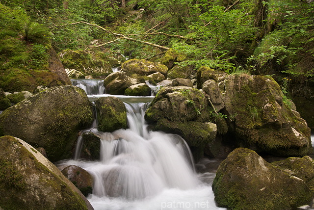 Photo de petites cascades en sous bois sur le torrent du Bronze