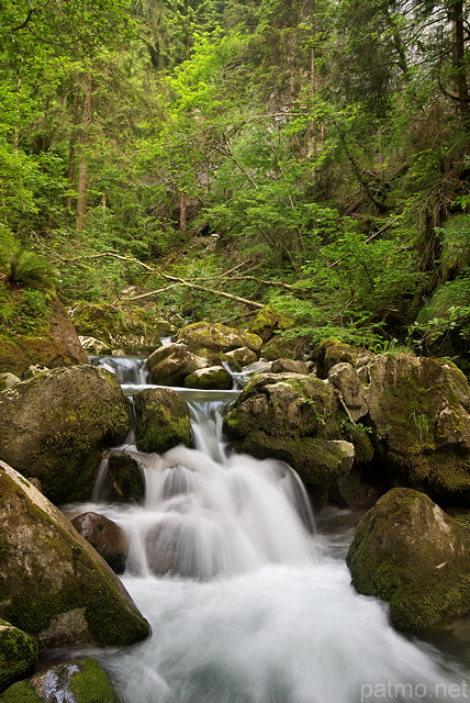 Image de petites cascades en sous bois sur le torrent du Bronze