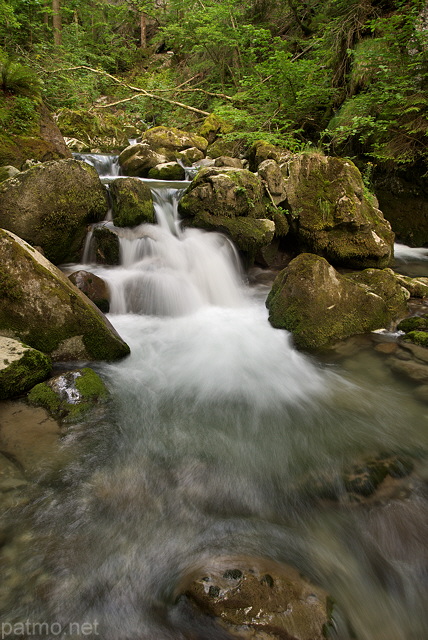 Photographie des Gorges du Bronze au printemps