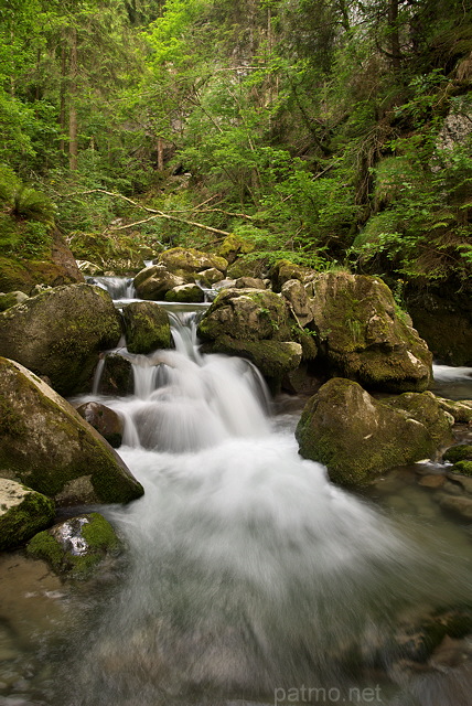 Image des Gorges du Bronze au printemps