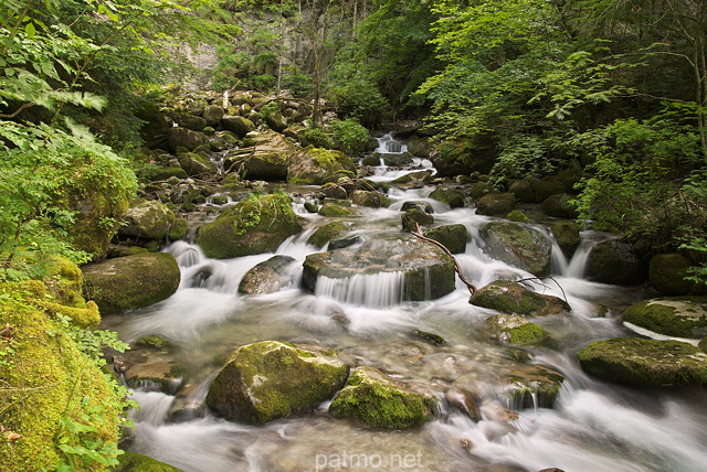 Image de la rivire du Bronze dans le Massif des Bornes