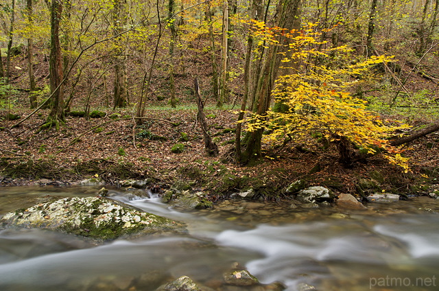 Photographie du torrent du Fornant dans une ambiance automnale.