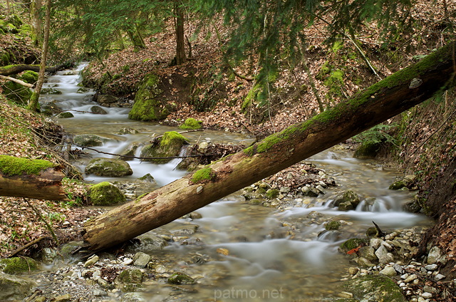 Photo du ruisseau des Charmières  dans la forêt autour du château de Menthon Saint Bernard