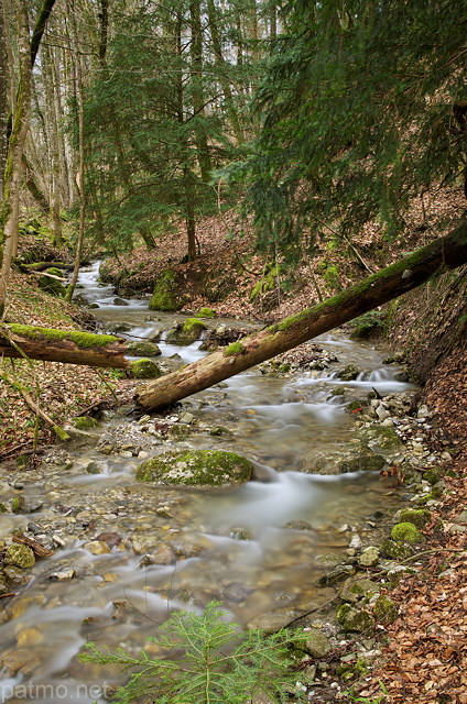 Image du Nant des Charmires dans la fort autour du chteau de Menthon Saint Bernard