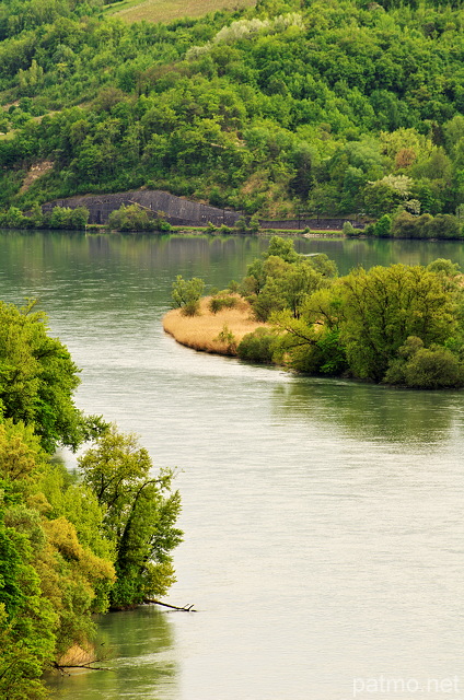 Image des berges du Rhne au printemps