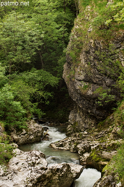 Photo du Fornant dbouchant de la fort entre Chaumont et Musiges