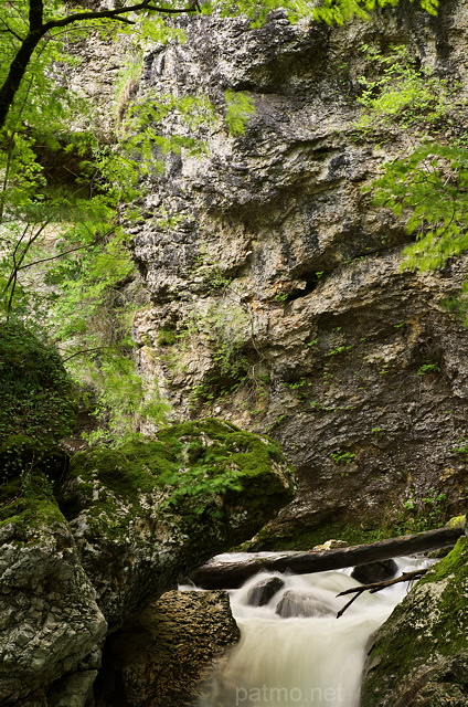 Photographie du canyon du Fornant par un printemps pluvieux