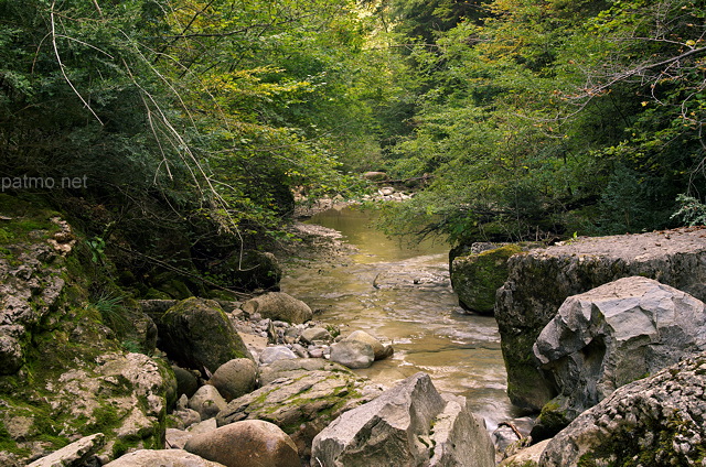 Photo d'un torrent  travers la fort du Haut Jura sous la cascade de la Queue de Cheval