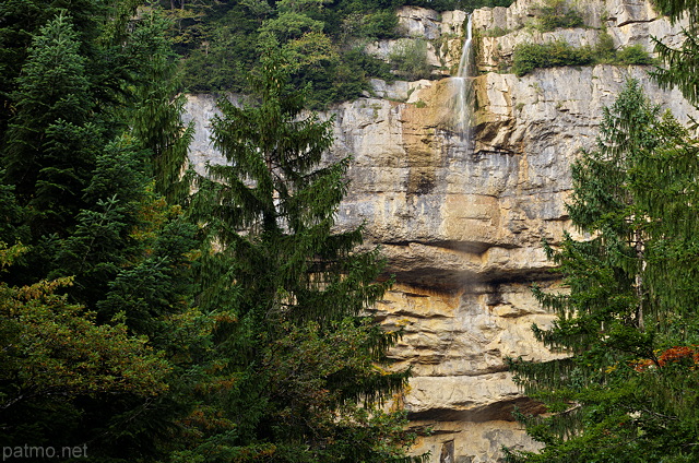 Photographie de la cascade de la Queue de Cheval entoure d'arbres dans le Haut Jura