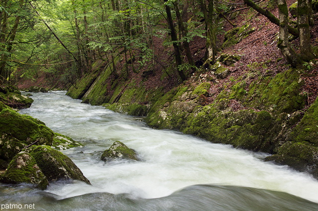 Photographie de la rivire de la Valserine gonfle par des pluies d't