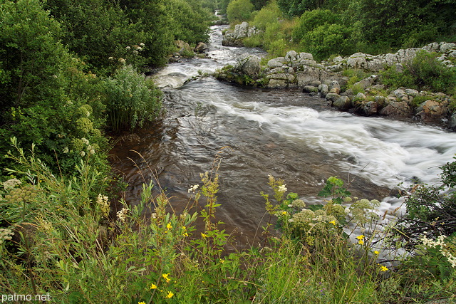 Photo de la  Loire qui prend son lan vers l'ocan  Sainte Eulalie en Ardche