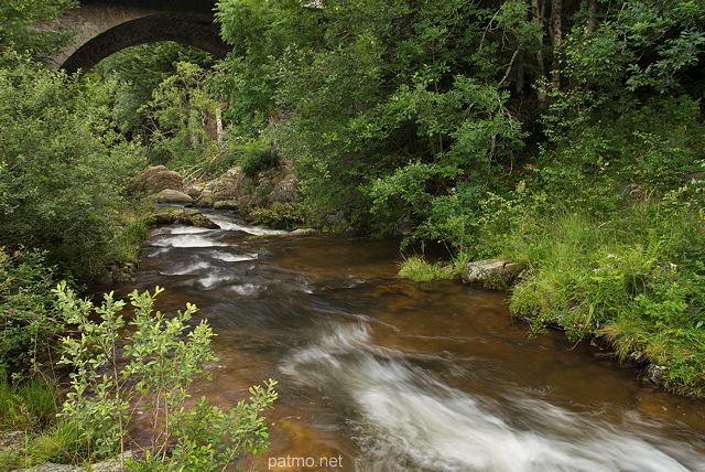 Image de la Loire au niveau de son premier pont - Ardche