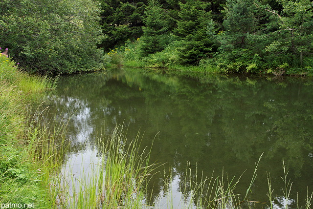 Image du premier tang sur la Loire