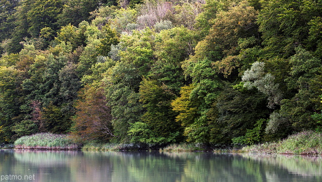 Photo de l't sur les berges du Rhne  Arcine en Haute Savoie