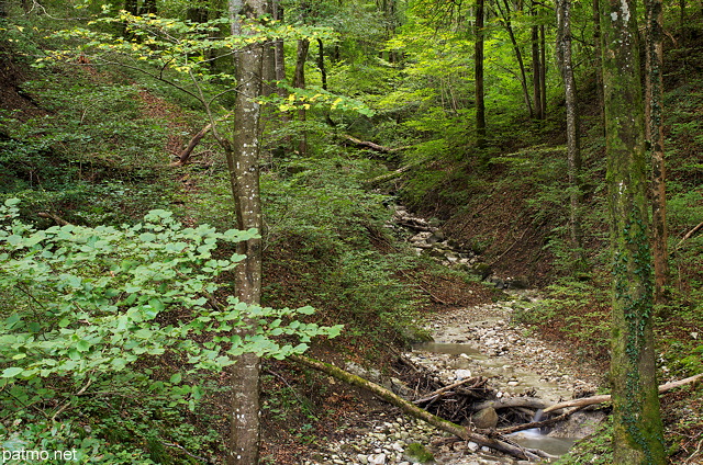 Photo d'un petit ruisseau affluent du Rhne prs d'Arcine en Haute Savoie