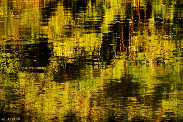 Photographie du reflet de la fort dans l'eau du Rhne