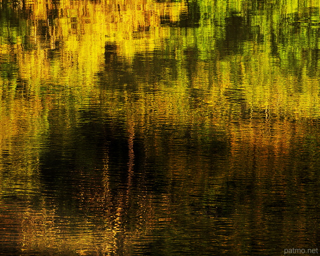 Image de reflets forestiers sur l'eau du Rhône